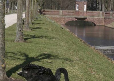 Trauerschwäne Gräfte Schloss Nordkirchen