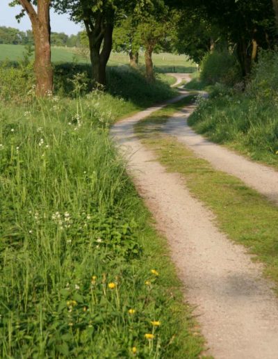 Feldweg Sieben Quellen