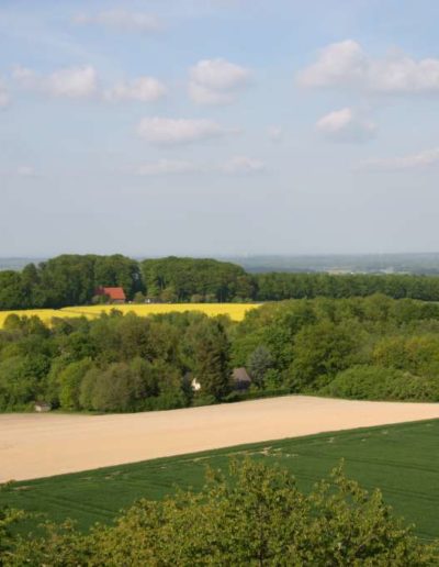 Longinusturmblick auf Hof Meier