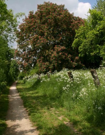 Wanderweg neben Bahnlinie Billerbeck