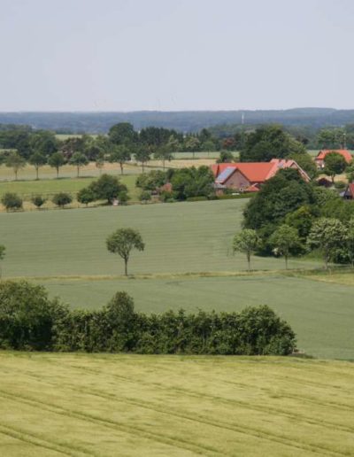 Longinusturmblick nach Billerbeck