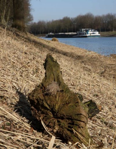 Dortmund-Ems-Kanal