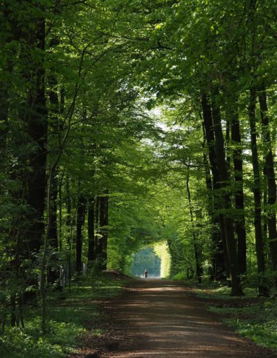 Baumberger Ludgerusweg